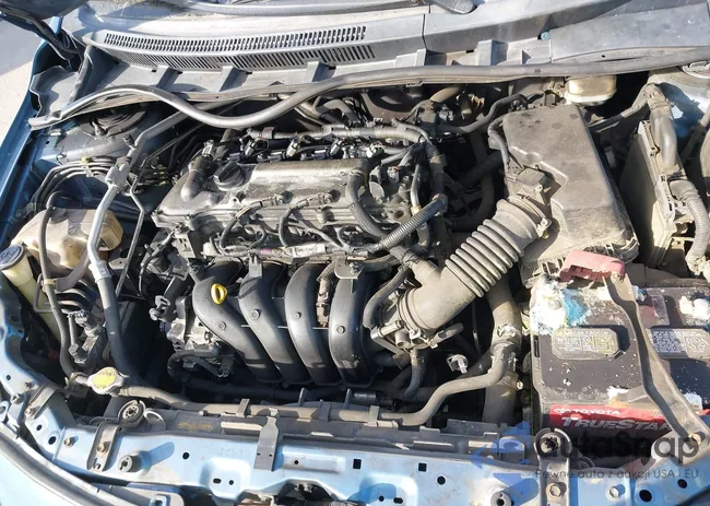 5YFBU4EE0DP095485: 43956737