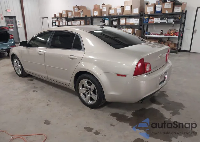 1G1ZC5EB4AF216866: 43958050