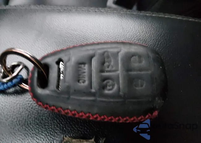 ZASPAKBN6L7C97777: 43959954