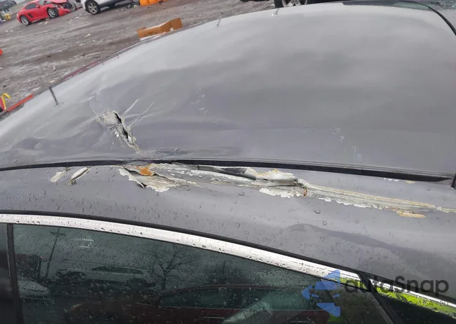 19XFC2F84LE207965: 43960040