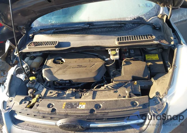 1FMCU9GX6EUE27977: 43960059