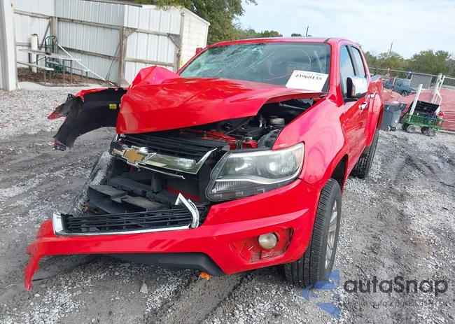 1GCGTCEN0K1129946: 43960135