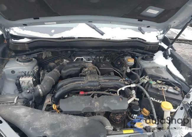 JF2SJABC8FH529565: 43959601