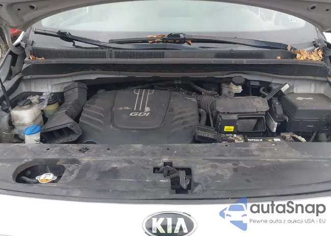 KNDMB5C17G6175267: 43960746