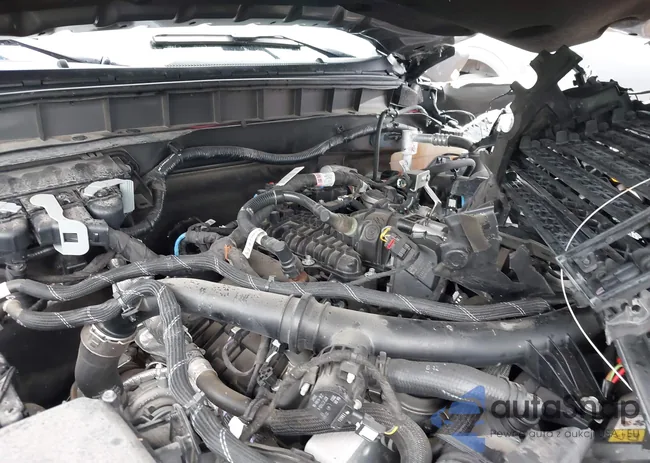 1FMEE5DP1PLB66284: 43960867