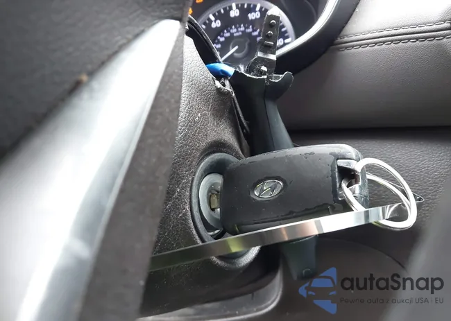 5NMS2CAD6LH153931: 43960872