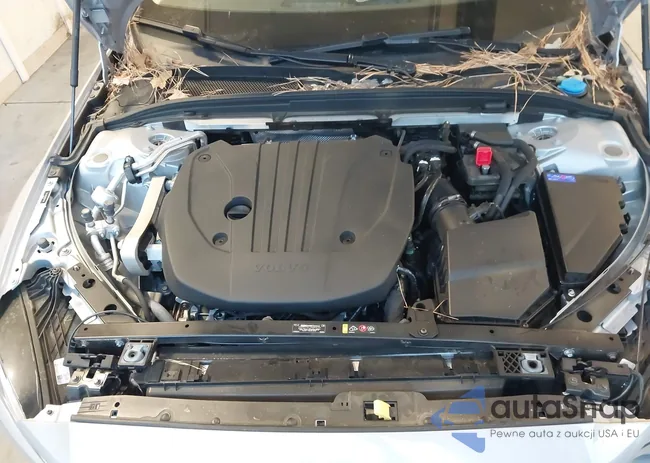 7JRL12TL6RG317749: 43960981