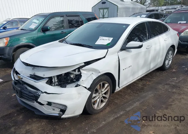 1G1ZD5ST5JF124322: 43961176