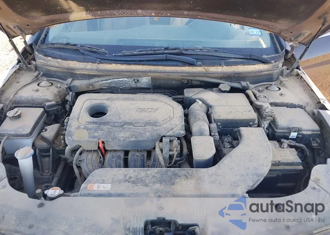 5NPE24AF1FH218311: 43960725