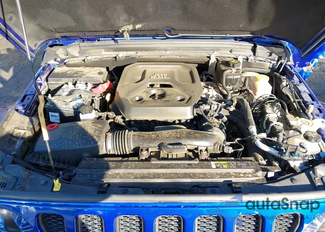 1C4HJXEN4LW231188: 43961795