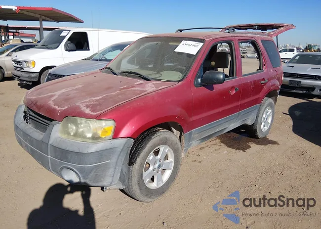 1FMYU03195KA37003: 43961902