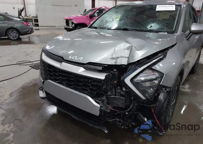 KNDPUCAG3P7094537: 43961930