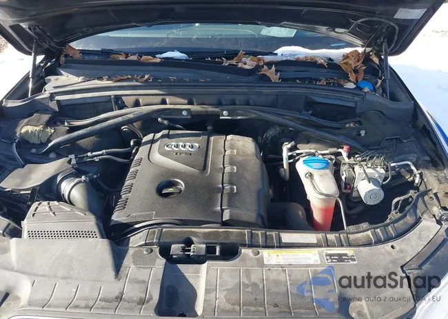 WA1CFAFP9DA009005: 43962335