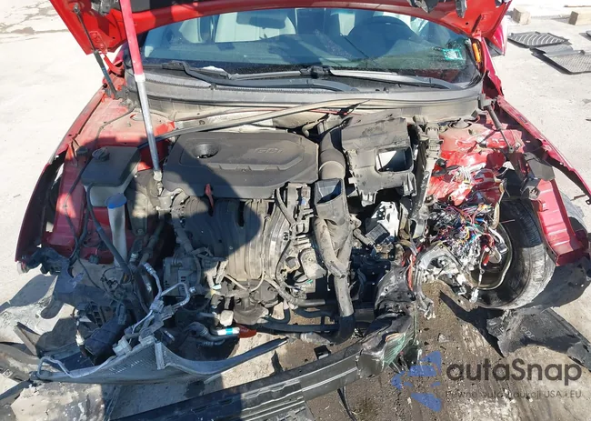 5NPE24AF4KH804527: 43961365