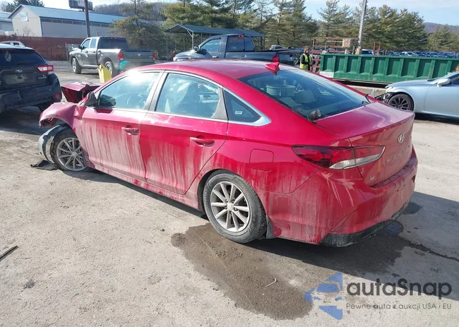 5NPE24AF4KH804527: 43961365