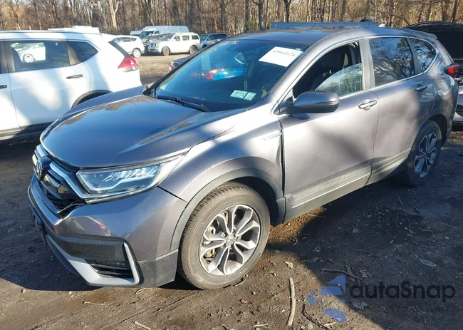 5J6RT6H84NL021414: 43961626