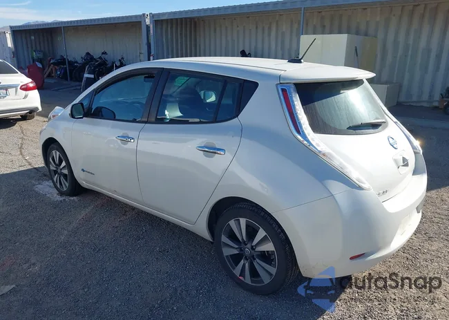 1N4BZ0CP7GC307316: 43961637