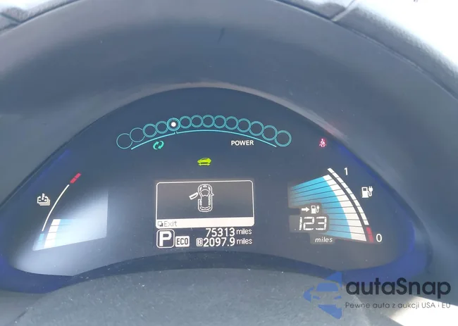 1N4BZ0CP7GC307316: 43961637