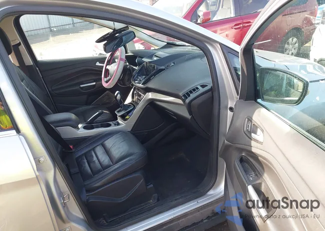 1FADP5CU2GL106022: 43962818