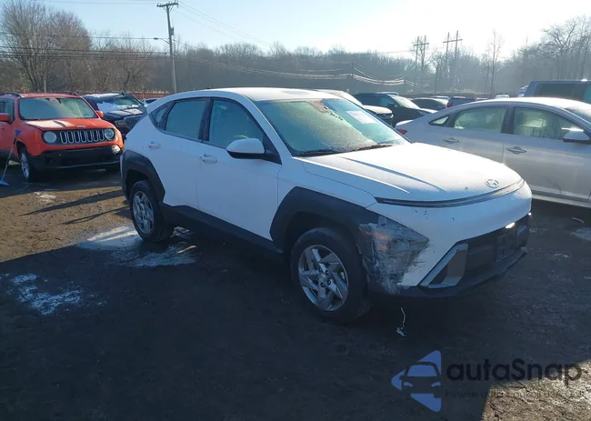 KM8HACAB1RU076975: 43962417