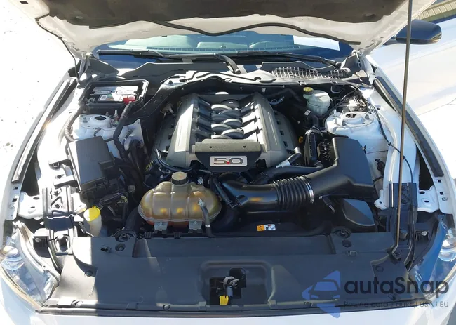 1FA6P8CF9H5306090: 43963889