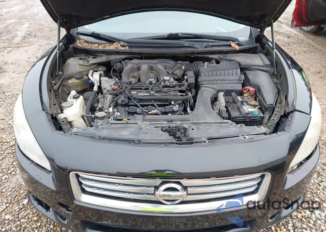 1N4AA5AP7DC824081: 43964225