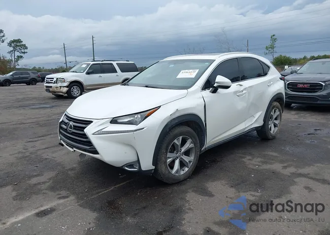 JTJYARBZ5H2066072: 43964239