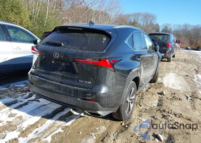 JTJGARDZ5M5031436: 43964305