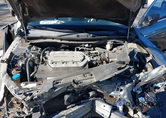 1HGCS2B86AA008624: 43965323