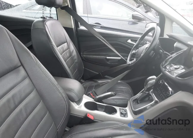 1FADP5CU9GL116482: 43964397