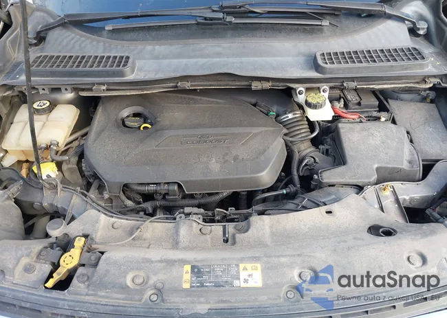 1FMCU9GX0EUC87568: 43965774