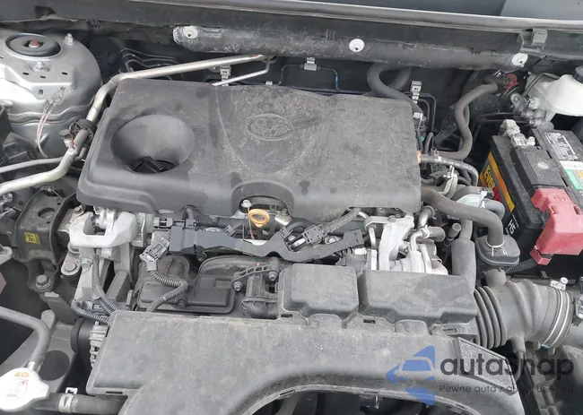 2T3H1RFV1MC095811: 43965951