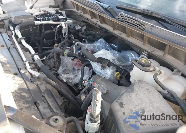 3GCNAAEK0PG363231: 43965506