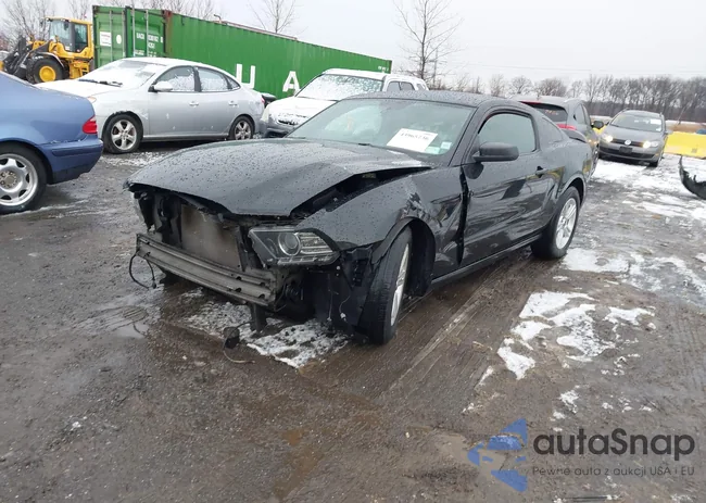 1ZVBP8AM5E5329935: 43965736