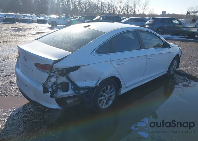 5NPE24AF2JH655081: 43967247