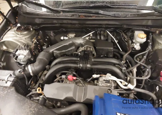 4S4BSAEC3G3352831: 43967255