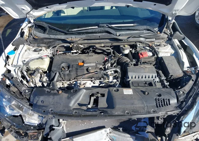 2HGFC4B01GH305553: 43967374