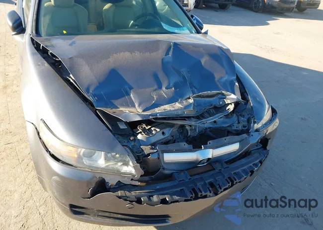 19UUA66236A018345: 43967563