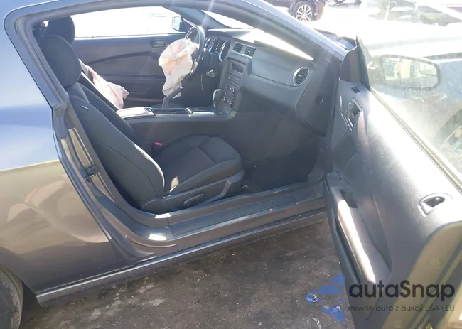 1ZVBP8AM9E5254303: 43968355