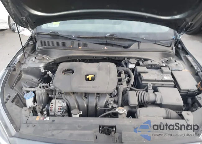 3KPF24AD7LE209146: 43969507