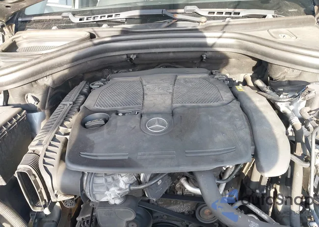 4JGDA5HB9DA241455: 43970921