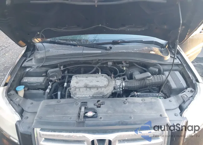 5FNYF18677B024842: 43971253