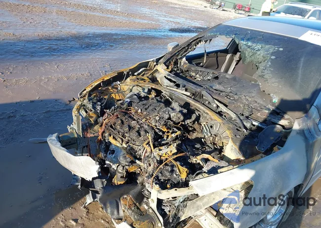 1N4BL3AP1DC209948: 43970641