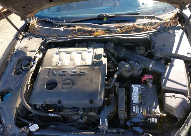 1N4BA41E65C811563: 43971805