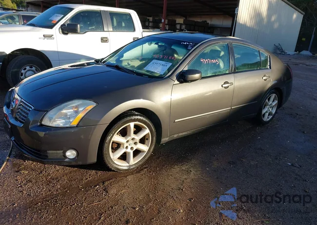 1N4BA41E65C811563: 43971805