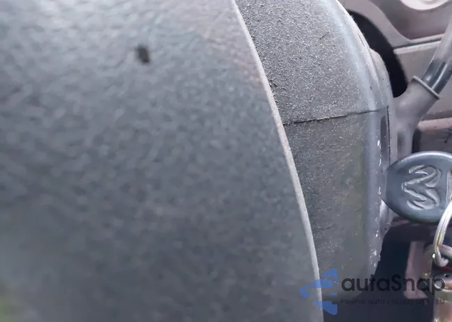 1D7HU18N95S336387: 43973196