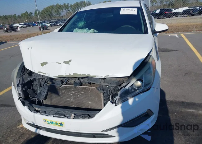 5NPE24AF8FH194508: 43973204