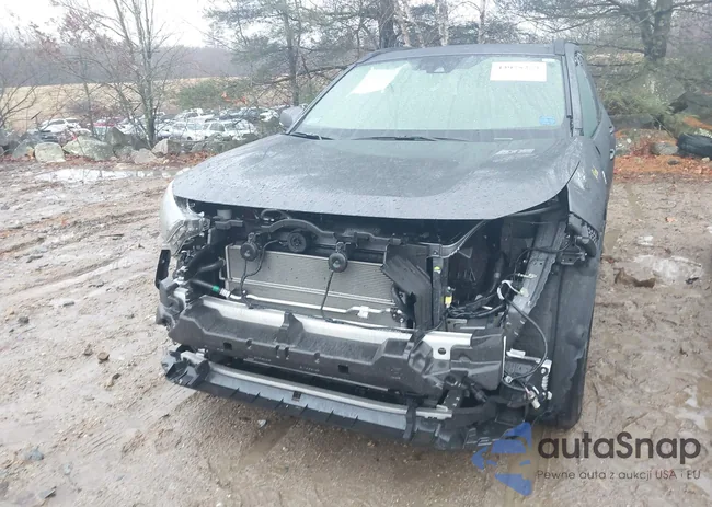 JTMAB3FV3PD122244: 43975273