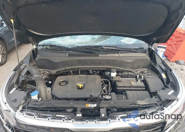 KNDERCAA3P7461912: 43974357