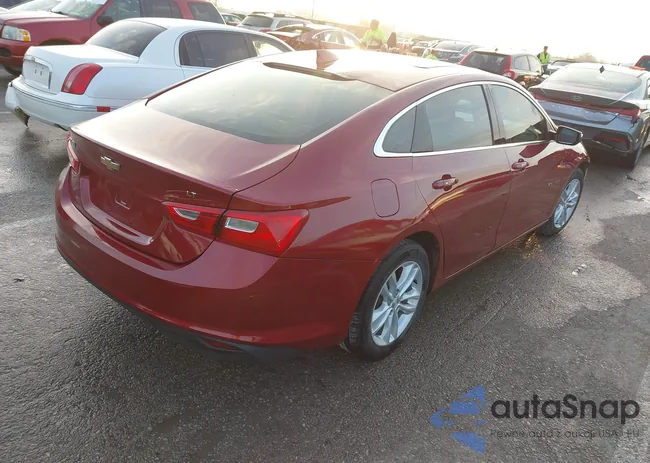 1G1ZE5ST6HF241561: 43974559